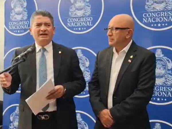 El hemiciclo del Congreso Nacional permanecerá sin sesiones durante varios días por la suspensión de la actividad legislativa con motivo del Día del Niño y las fiestas patrias.