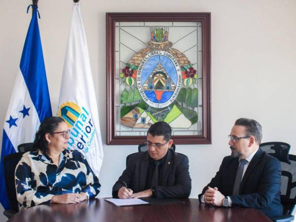 Ricardo Alfredo Montes, nuevo titular del Tribunal Superior de Cuentas (TSC).