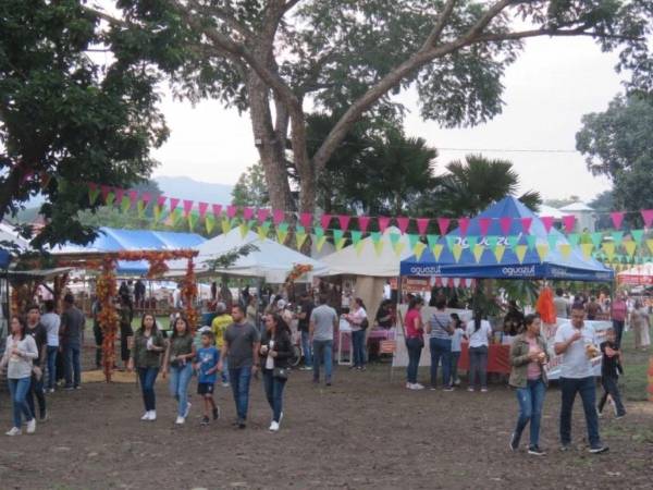 El esperado VIII Festival de Otoño actualiza su agenda oficial y promete llenar la ciudad de arte, música y entretenimiento familiar. La celebración se dividirá en tres jornadas únicas diseñadas para el disfrute de todos los asistentes y el apoyo al talento local.