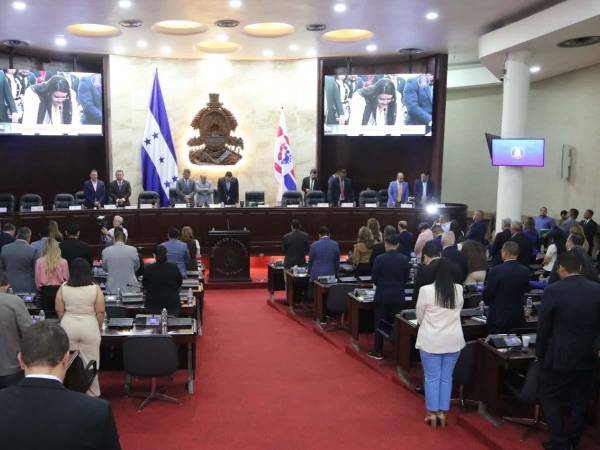 El diputado Godofredo Fajardo presentó ante el Congreso Nacional una iniciativa para congelar la tarifa de energía eléctrica.