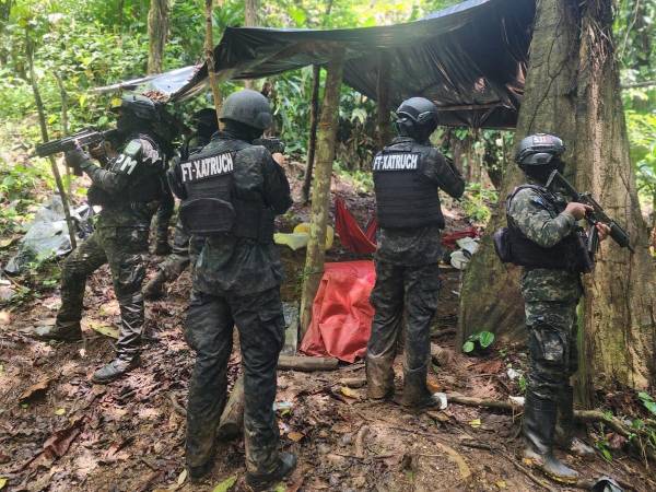 Las Fuerzas Armadas de Honduras, a través de la Fuerza de Tarea Conjunta Xatruch y en coordinación con la Dirección de Lucha Contra el Narcotráfico (DLCN), localizaron y aseguraron más de 22,000 arbustos de hoja de coca en una zona montañosa de Cusuna, Iriona, Colón.