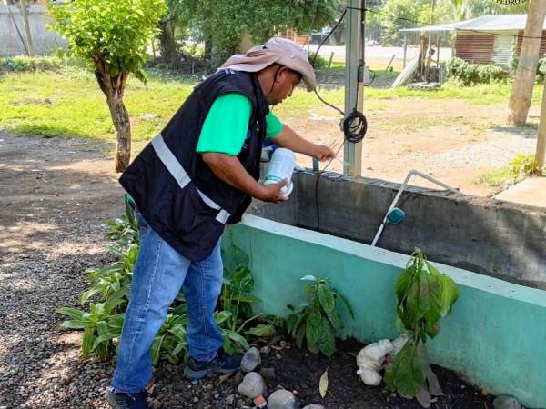 Cualquier recipiente que acumule agua puede convertirse en un sitio de reproducción del mosquito transmisor del dengue.