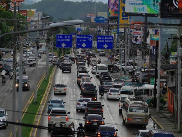 Lo primero que debe saber es que sí hay una amnistía vigente.