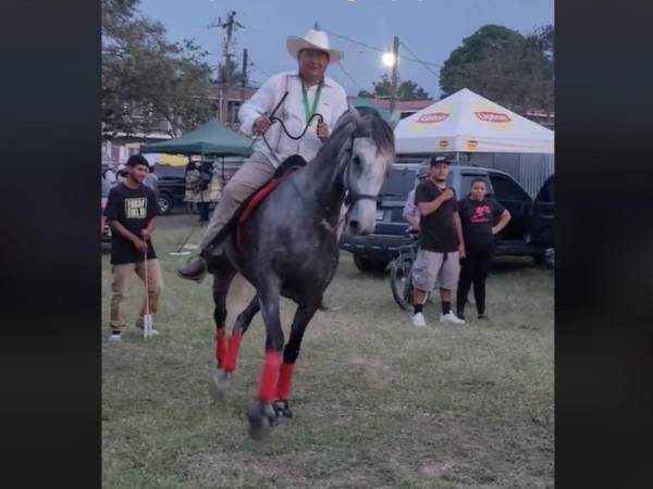 VIDEO: La aparatosa caída de diputado hondureño en desfile