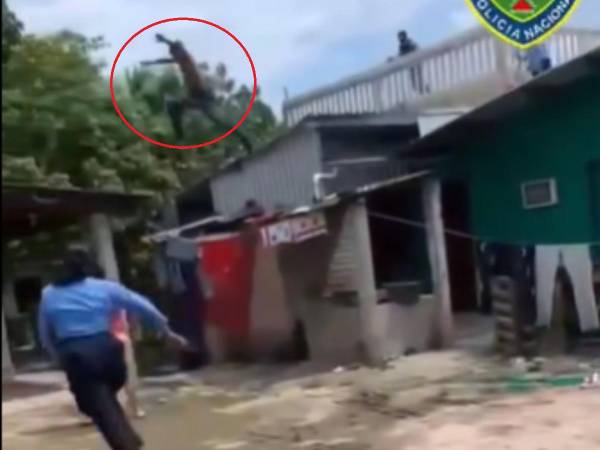 VIDEO: Hondureño intenta huir por los aires a lo Spiderman, pero todo terminó mal