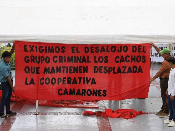 Campesinos piden cumplir orden judicial en el Bajo Aguán.