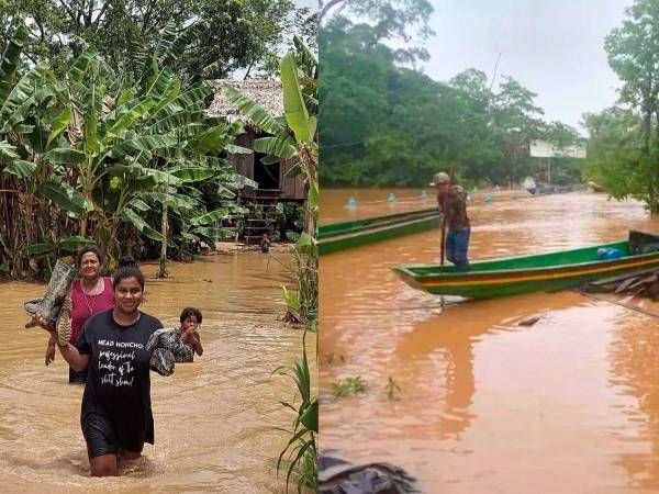 Unas 30 familias evacuadas y 21 cabezas de ganado ahogadas por lluvias en La Mosquitia.
