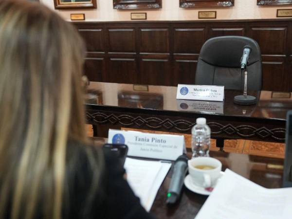 La comisión especial del Congreso Nacional, encargada del proceso de juicio político contra el consejero Marlon Ochoa y los magistrados señalados.