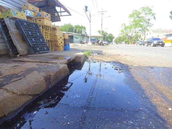 Ante la falta de un sistema de alcantarillado, colectores y plantas de tratamiento los sampedranos tienen que convivir con las aguas negras y exponerse a las enfermedades y la contaminación.