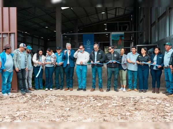 La iniciativa busca fortalecer la producción de vegetales y generar nuevas oportunidades de comercialización para pequeños productores.