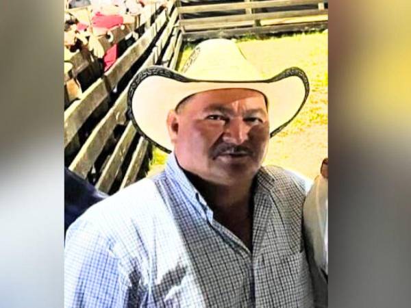 Matan a ganadero cuando ordeñaba sus vacas en Guaimaca