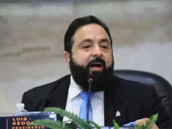 Luis Redondo, presidente del Congreso Nacional.