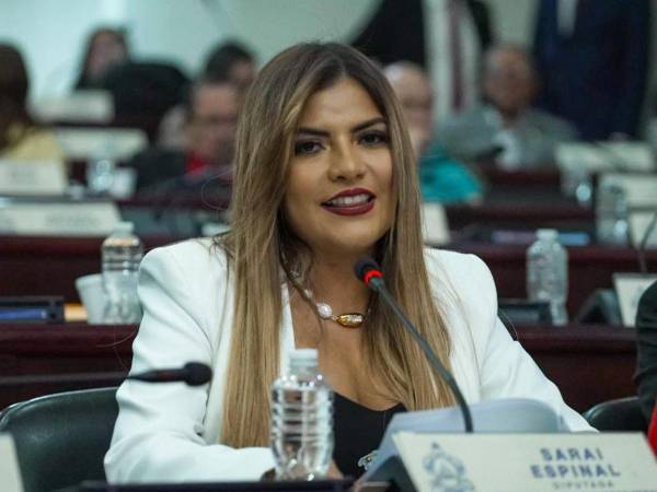 Saraí Espinal, diputada del Partido Liberal por Francisco Morazán.