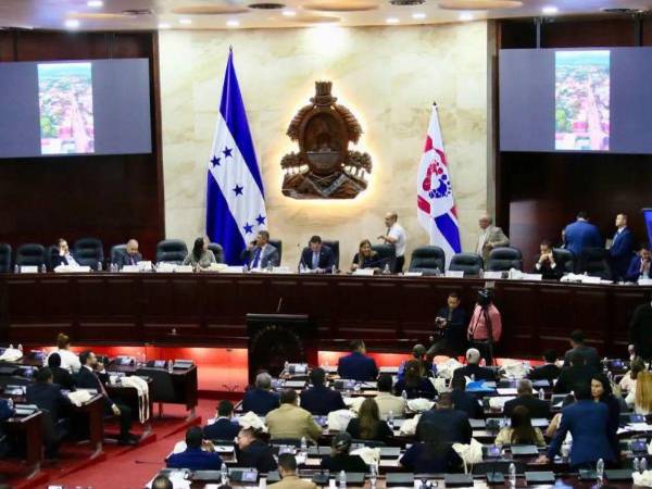 Iniciativa de ley busca crear unidad militar especializada para proteger a testigos.