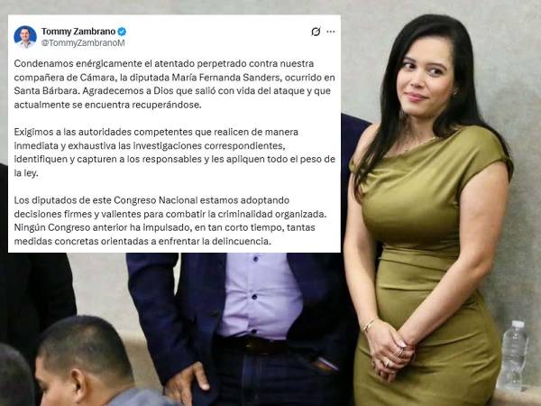 Tomás Zambrano condenó el atentado denunciado por la diputada nacionalista María Fernanda Sanders y pidió a las autoridades investigar el caso.
