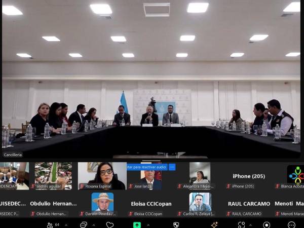 Los representantes de Cámaras de Comercio de Honduras y del gobierno de Honduras en reunión virtual.
