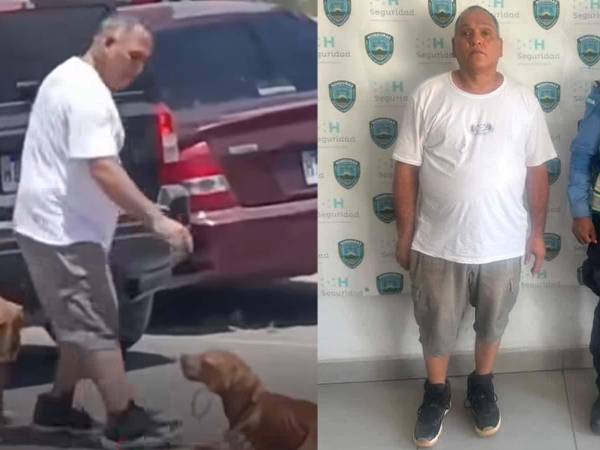 El video se viralizó en redes sociales y generó indignación entre ciudadanos y defensores de los animales.