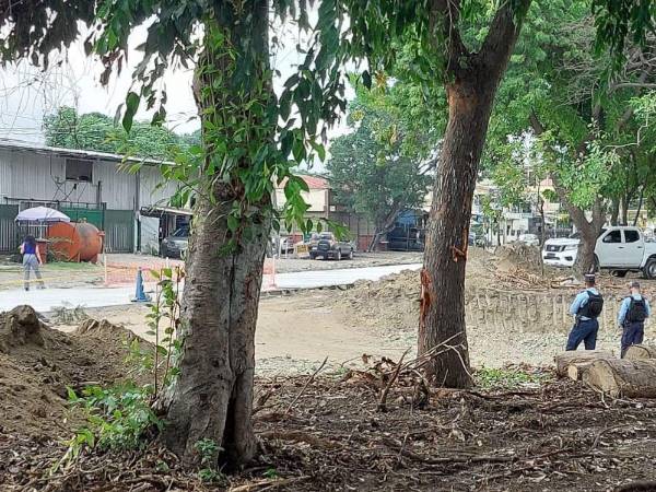 Las autoridades policiales revelaron la tarde de este miércoles la identidad del hombre que fue asesinado en la colonia Pastor Zelaya de San Pedro Sula.