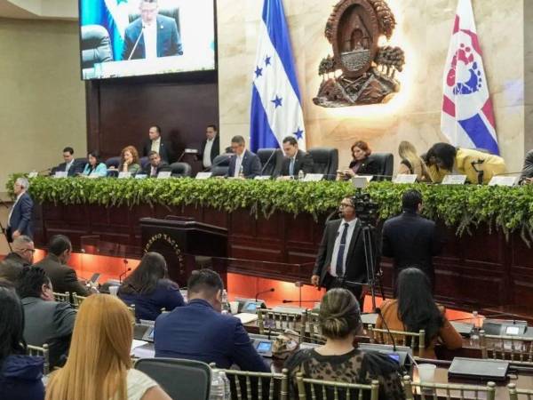 La iniciativa recibió el respaldo unánime de las diferentes fuerzas políticas representadas en el Congreso Nacional.