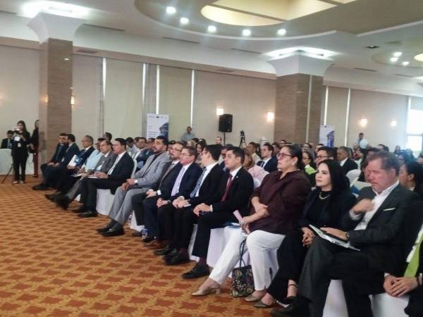 El proyecto se desarrollará en coordinación con el Tribunal Superior de Cuentas (TSC) y el Instituto de Acceso a la Información Pública (<b>IAIP</b>).