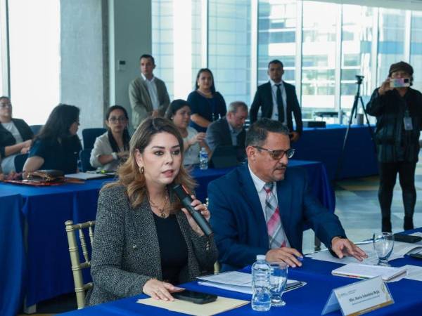 María Antonieta Mejía, designada presidencial y presidenta del Coned, destacó que uno de los principales objetivos será fortalecer la educación.