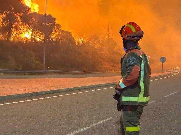 Los dos grandes incendios forestales que permanecen fuera de control en el centro de España han obligado a evacuar y confinar a 88,620 personas en las provincias de Madrid y Ávila, una situación que mantiene en alerta a las autoridades y genera preocupación entre la comunidad hondureña residente en ese país.