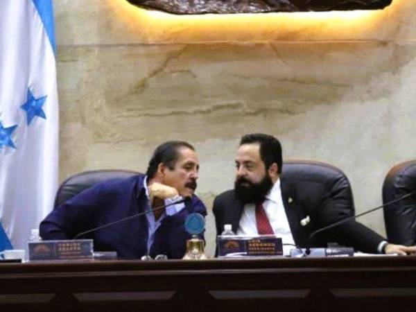 Luis Redondo, expresidente del Congreso Nacional, y Carlos Zelaya, exdiputado.