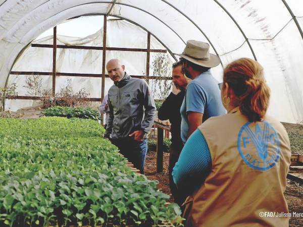 Expertos observan un cultivo de hortalizas en un vivero.
