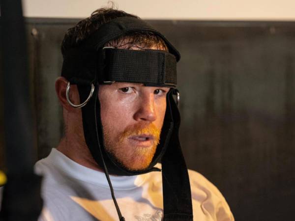 Tras su dura derrota sufrida el pasado sábado en Las Vegas, el legendario boxeador mexicano Saúl Canelo Álvarez ha recibido una propuesta de trabajo.