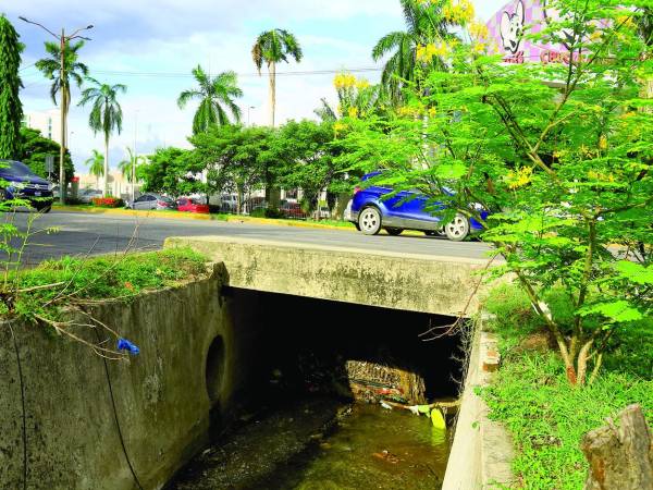 La quebrada nace en El Merendón y termina en Sunseri. La canalizaron y embaularon más del 90%, pero hay unos 600 metros abiertos; entre ellos, el tramo donde ocurrió la tragedia.