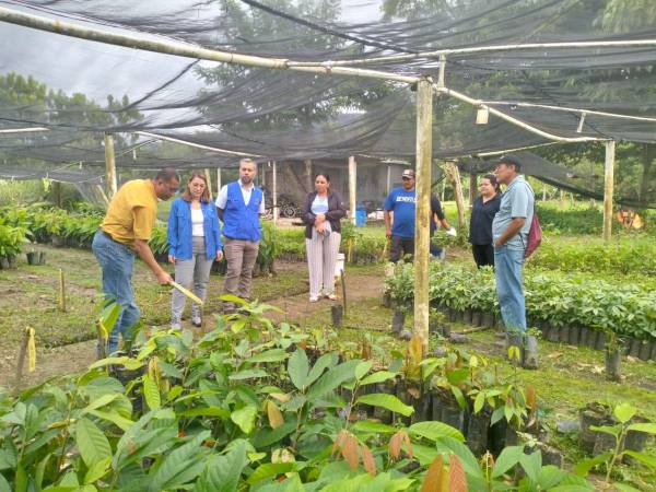 Representantes de la Unión Europea, Asociación Coordinadora Indígena y Campesina de Agroforestería Comunitaria de Centroamérica y la Unah.