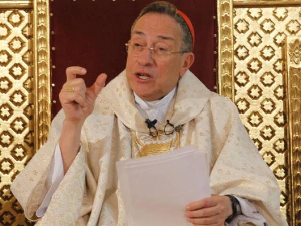 El cardenal lamenta la contaminación del aire.