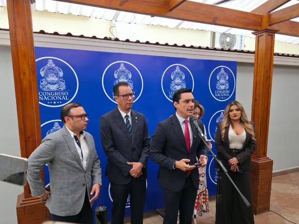 Conferencia de prensa brindada por Kilvett Bertrand, diputado y presidente de la Comisión de Defensa.