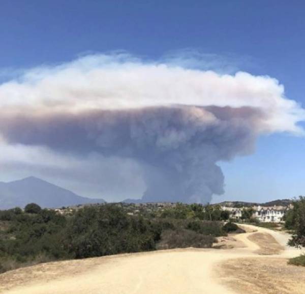 El Holy Fire ha consumido al menos 4,000 acres del Bosque Nacional Cleveland en el sur de California./ Foto:sunnygirl949.