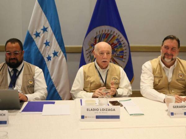 Eladio Loizaiga es el jefe de la misión electoral de la OEA que arribó este lunes a Honduras.