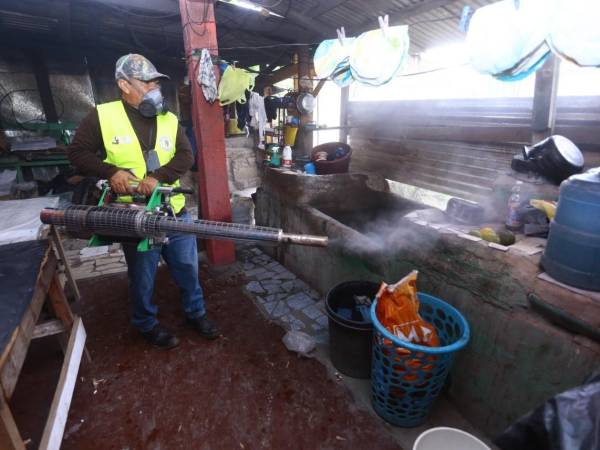 Personal de salud realiza labores de fumigación para combatir al zancudo transmisor del dengue, ante el aumento de casos en Cortés y el llamado a la población a eliminar criaderos en sus viviendas.