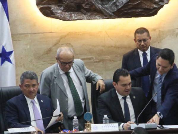 Este lunes se espera que se realice el tercer y ultimo debate en el pleno del Congreso Nacional para la aprobación de las reformas al Código Penal y Procesal Penal.