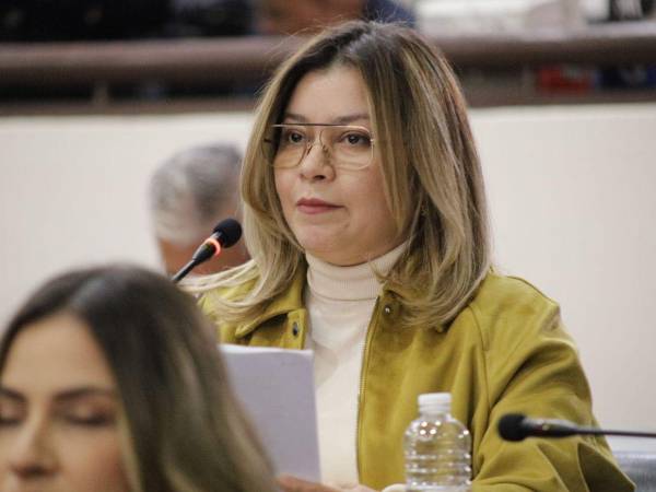 La iniciativa legislativa es impulsada por la congresista de Cortés, Linda Donaire.