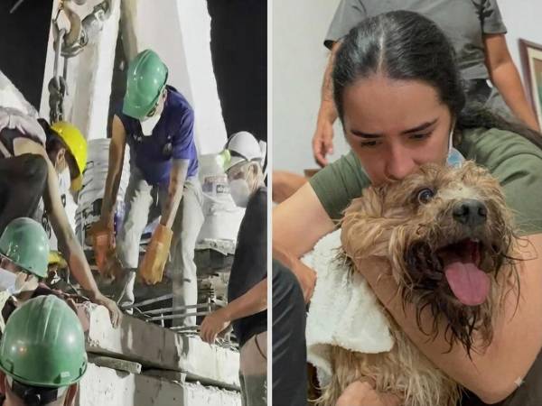 Cuando los rescatistas llevaban cerca de 48 horas removiendo toneladas de hierros retorcidos y concreto en las Torres del Limonar, en Cali, una señal de vida ilusionó a quienes seguían buscando entre los restos de uno de los edificios destruidos por el terremoto que sacudió a Colombia el pasado lunes.