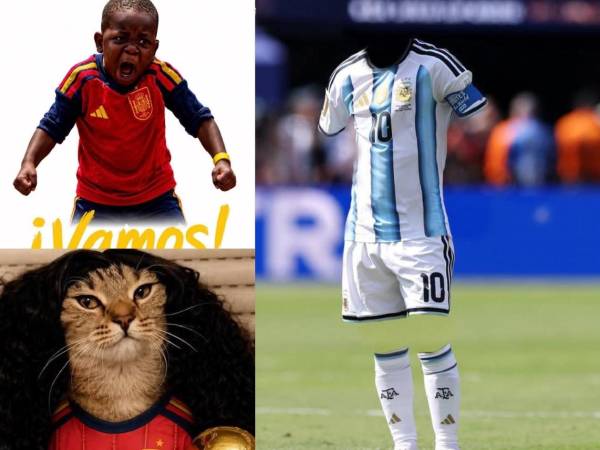 Argentina perdió la final ante España y las redes sociales se desataron.