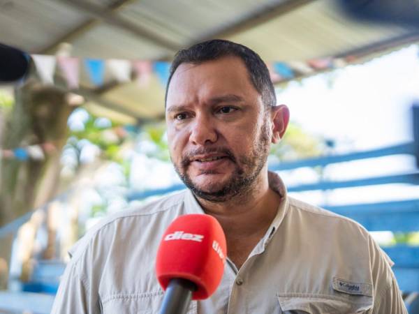 Mariano Gómez dando declaraciones.