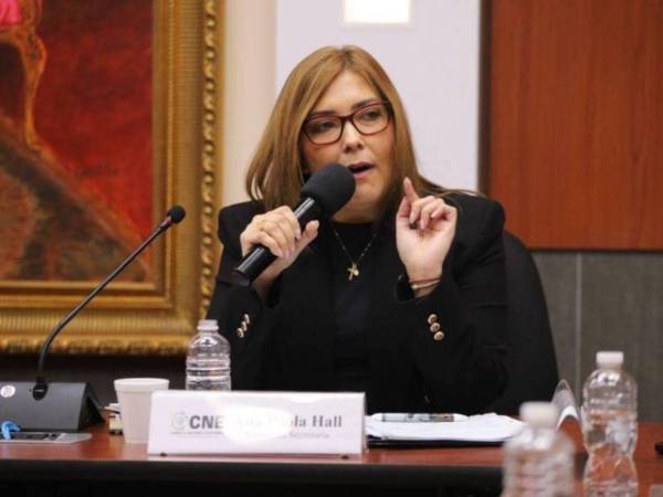 Ana Paola Hall es la representante del Partido Liberal en el CNE.