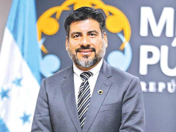 Johel Zelaya fue asesor externo de la Procuraduría General del Ambiente y de la Empresa Hondureña de Telecomunicaciones (Hondutel), además de desempeñarse como asesor legal del Grupo Flores.