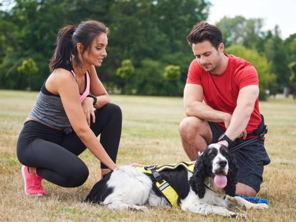 Toda actividad recreativa con una mascota debe basarse en el respeto, la paciencia y el amor. Cada animal tiene su ritmo, su energía y sus gustos.