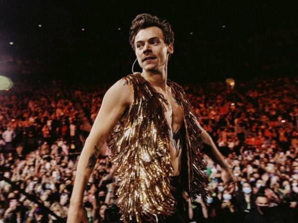 Harry Styles ha seguido su carrera como solista.