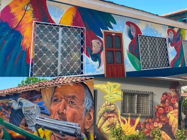 Un total de 30 murales llenos de color, historia y creatividad ahora embellecen las calles de San Francisco de Yojoa, tras la culminación del I Festival de Muralismo Arte y Colores, un evento que reunió a artistas de Sudamérica y Honduras para convertir al municipio en un nuevo referente del turismo cultural.