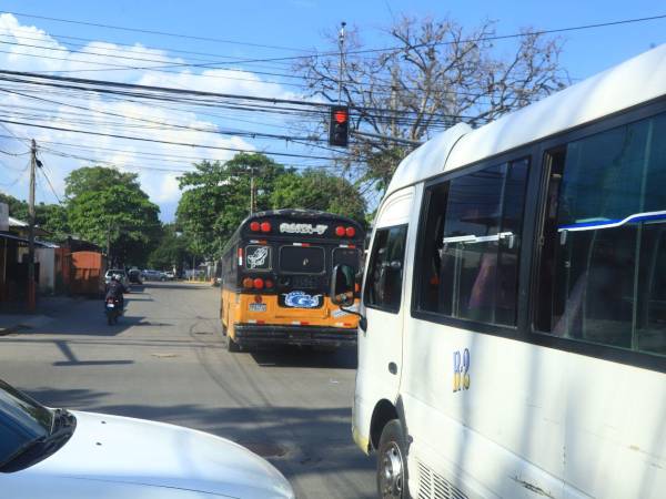 Los conductores de buses rapiditos registran más de 50 infracciones diarias en San Pedro Sula.