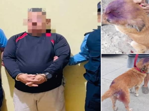 El hombre fue detenido tras una denuncia. Fotografías DPI.