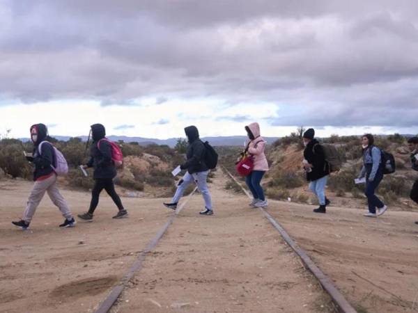 Caen las detenciones de hondureños en EE. UU. y México, según datos oficiales.