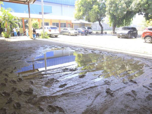 Las lluvias dejan extensas áreas con agua estancada debido a la falta de un sistema de drenaje adecuado